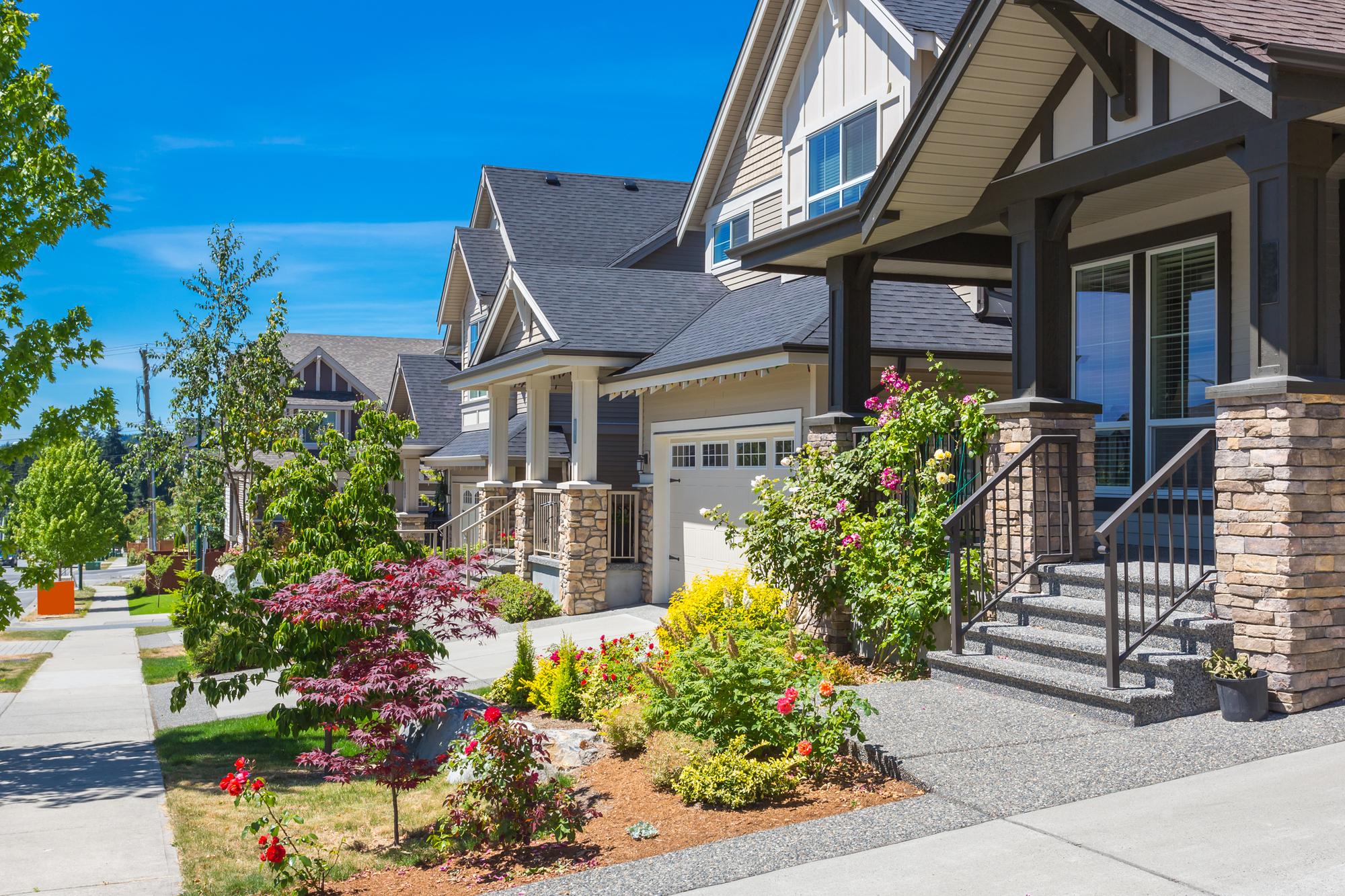 Custom-Built Luxury Homes with Landscaped Front Yards